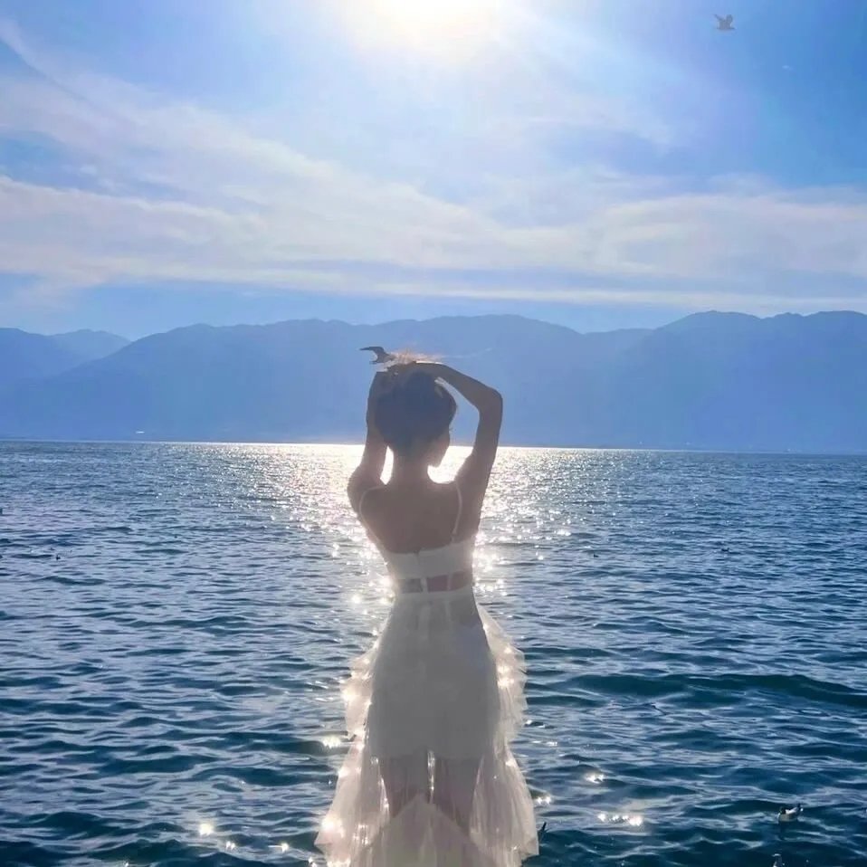 月球探秘海报