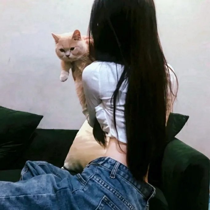 驳命老公追老婆粤语海报
